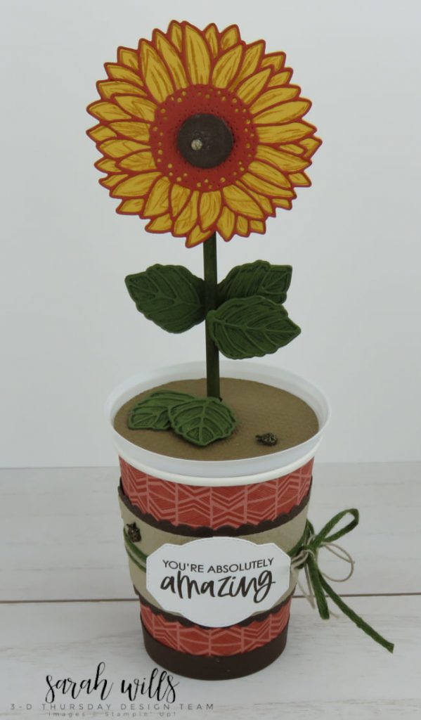 3D Thursday Mini Coffee Cups Flowerpot Treat Holder
