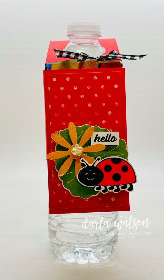 3D Thursday Free Project Sheet Stampin Up hello ladybug Hanging Water Bottle Treat