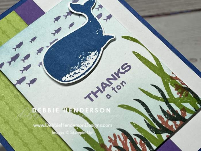 stampin up whale done grove dies new horizons designer paper