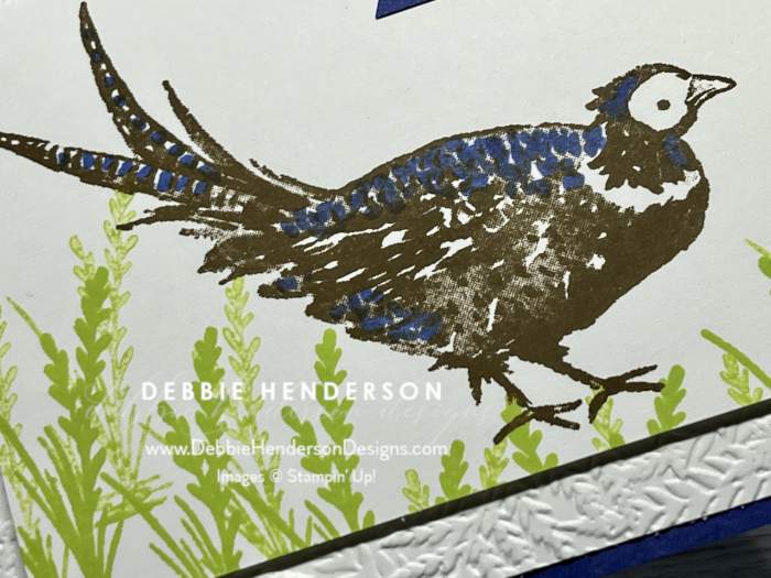saturday blog hop casing Debbie Henderson painted pheasants stampin up