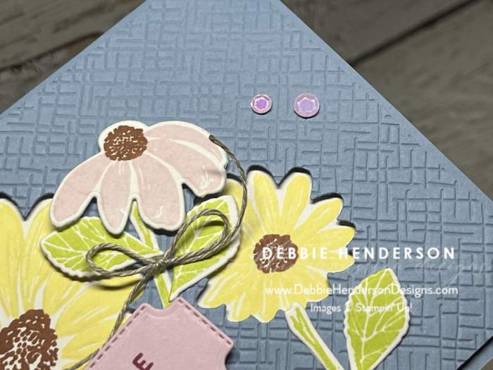 stampin up cheerful daisies basics 3D embossing folder catalog case stampin up cheerful daisies basics 3D embossing folder catalog case